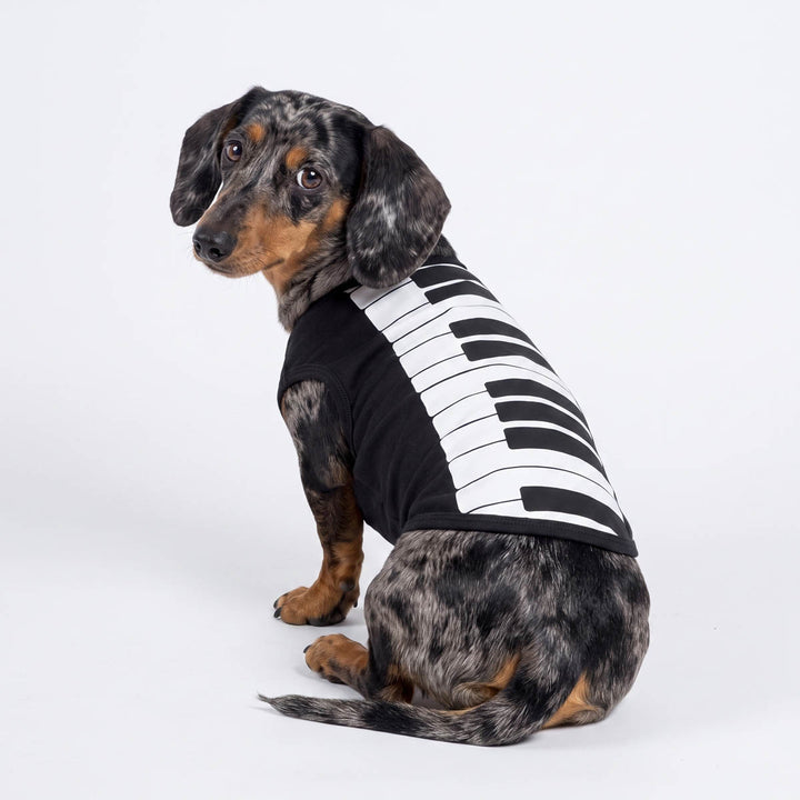 Back view of Dachshund in a Halloween costume for dogs
