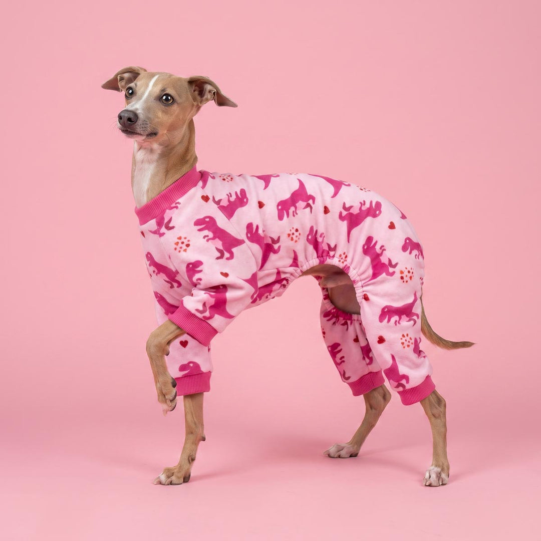 Italian greyhound dog wearing pink pajamas for dogs with a dinosaur and heart pattern, standing against a solid pink studio background