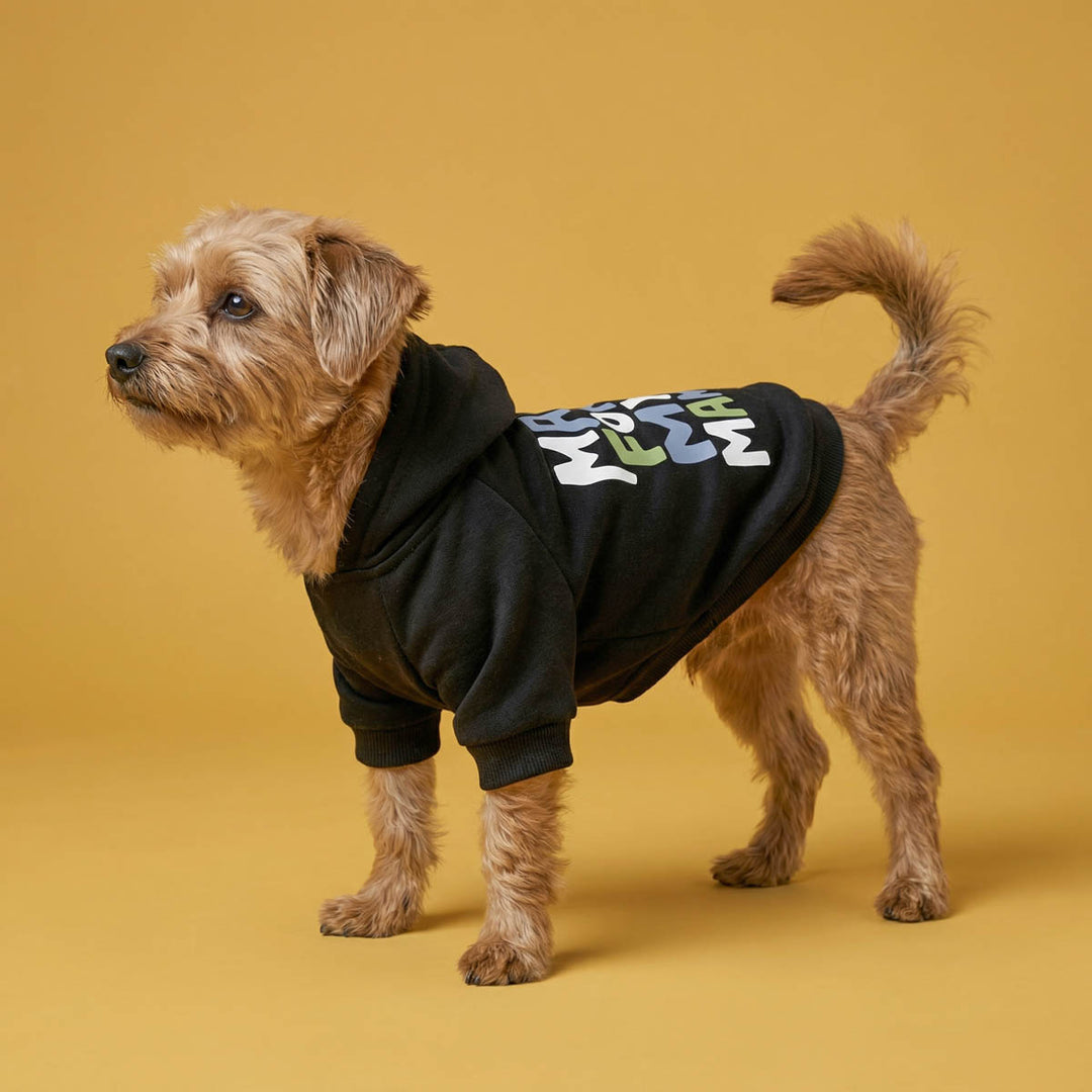 Dog in black dog hoodies with colorful text on a yellow background