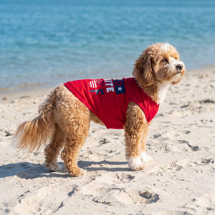 Small dog wearing a patriotic dog tank top and standing on the beach