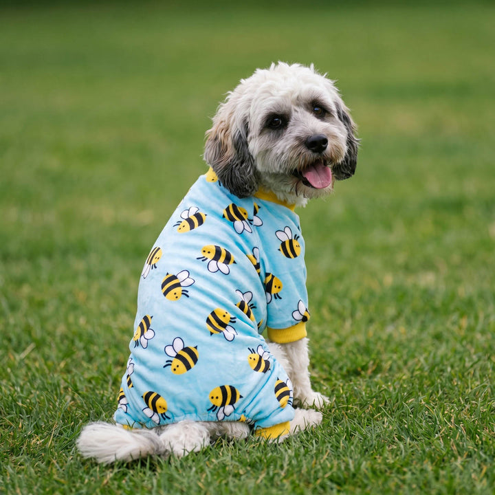 Dog wearing a blue dog jammies with bee patterns sitting on grass