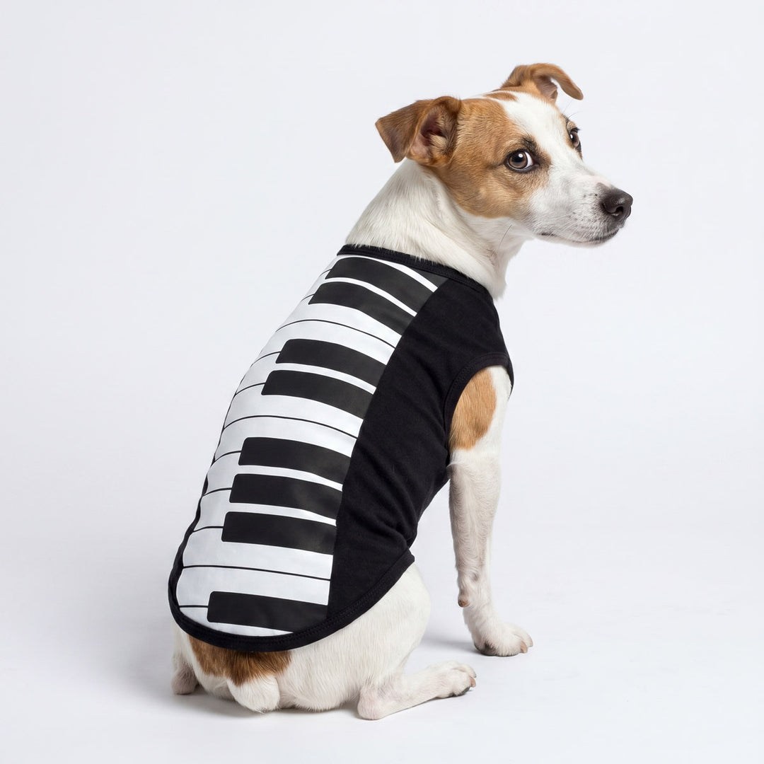 Jack Russell wearing a funny dog Halloween costume in piano design and sitting on a white background