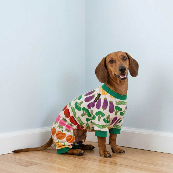 Dachshund sitting on a corner with a vegetable prints dog pjs