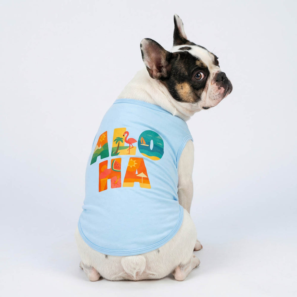 Back view of French Bulldog wearing a blue dog tank top with 'aloha' lettering