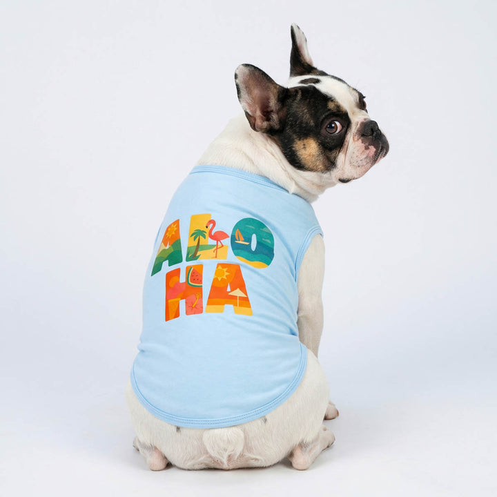 Back view of French Bulldog wearing a blue dog tank top with 'aloha' lettering