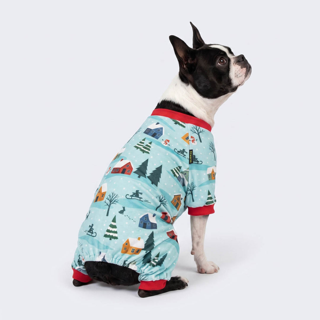 Boston Terrier dog sitting on a white background with a light blue Christmas-themed dog onesie with a red collar and cuffs