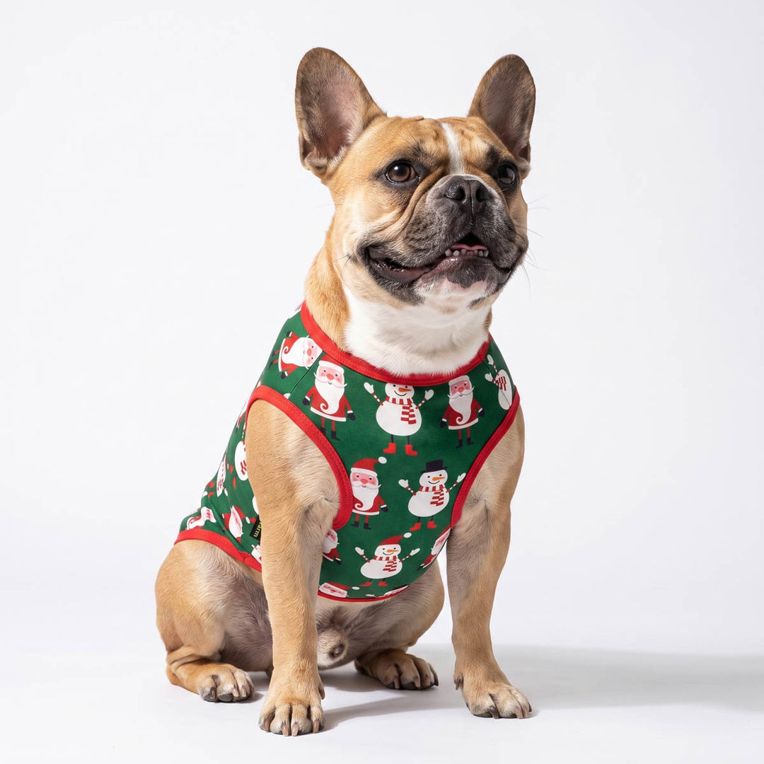 French Bulldog sitting on a white background with a Christmas dog t-shirt in Santa Claus and snowman prints