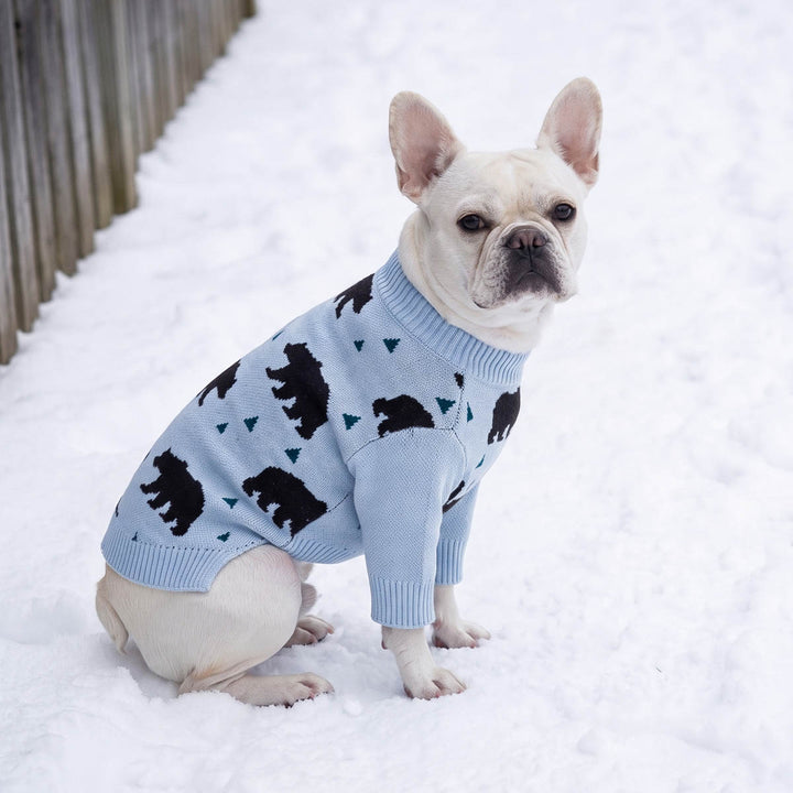 white French Bulldog sitting in the snow wearing a light blue dog winter sweater with black bear and triangle tree patterns