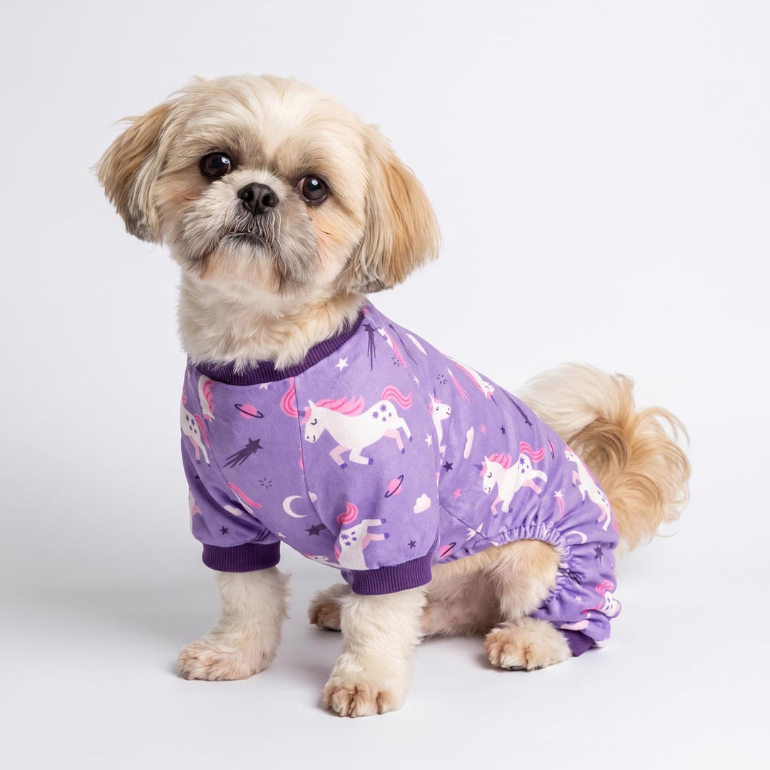 Small fluffy dog wearing a purple pajama for dogs with a unicorn and moon print, photographed against a clean light gray studio background