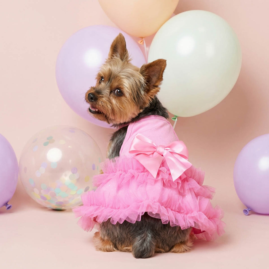 Yorkie wearing a pink birthday dress for dogs with bow and looking back