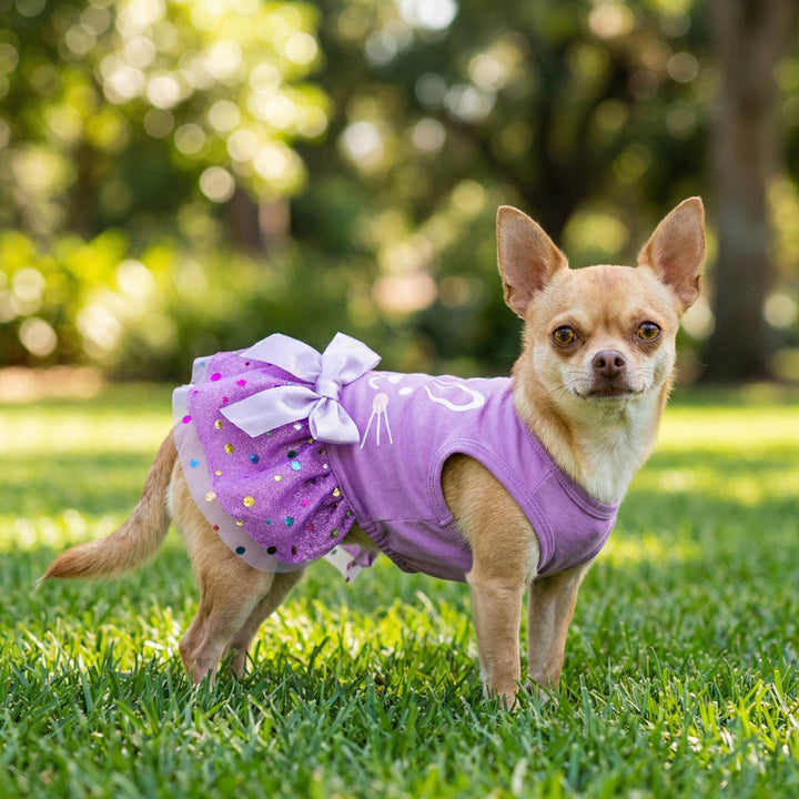 Small dog wearing a purple Easter dress for dogs with a bow standing on grass