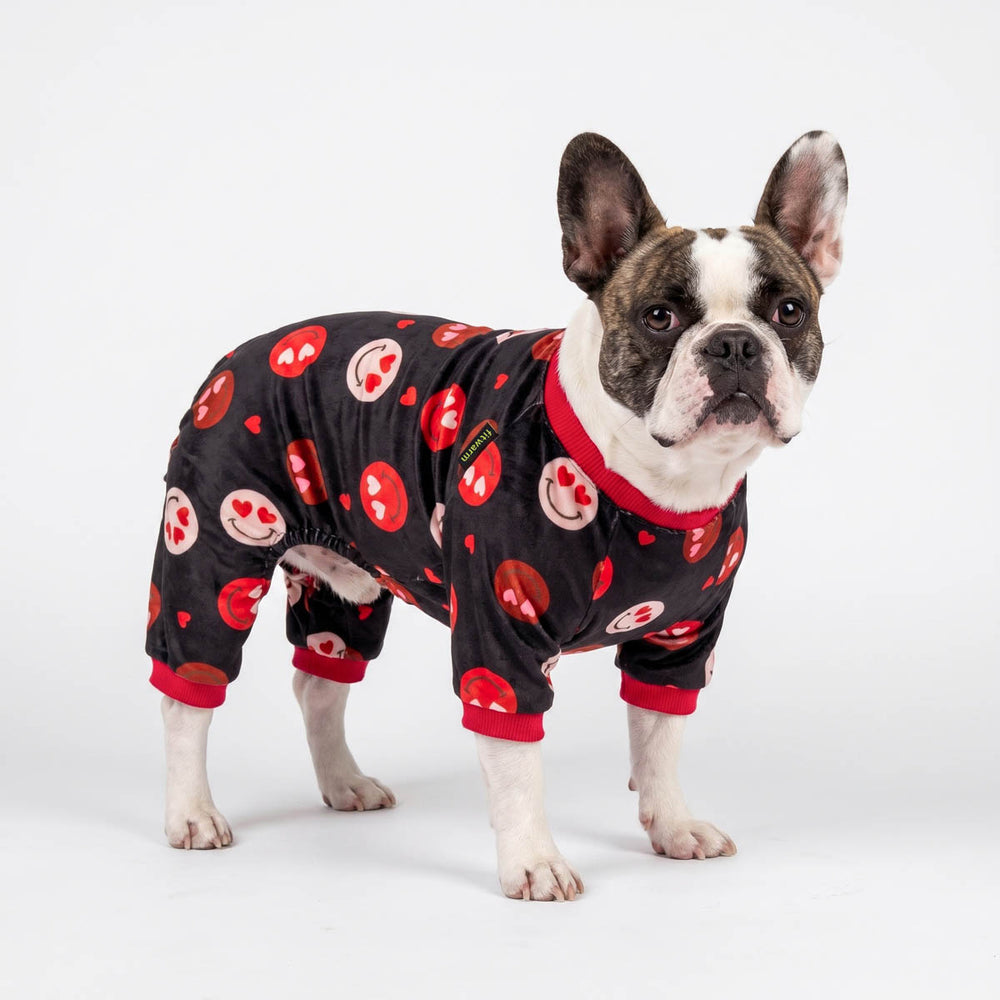 French Bulldog standing in a white background with a Valentine dog pjs
