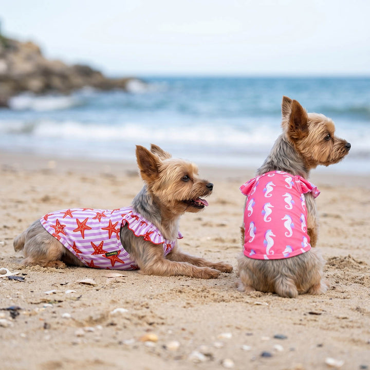 Two Yorkies on a beach wearing pink dog tshirts with starfish and seahorse patterns.