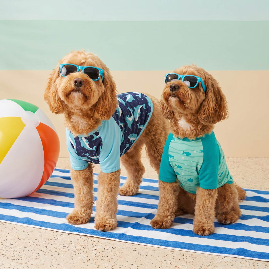 Two dogs wearing glasses and summer dog t shirts with dolphin and fish prints on a blanket