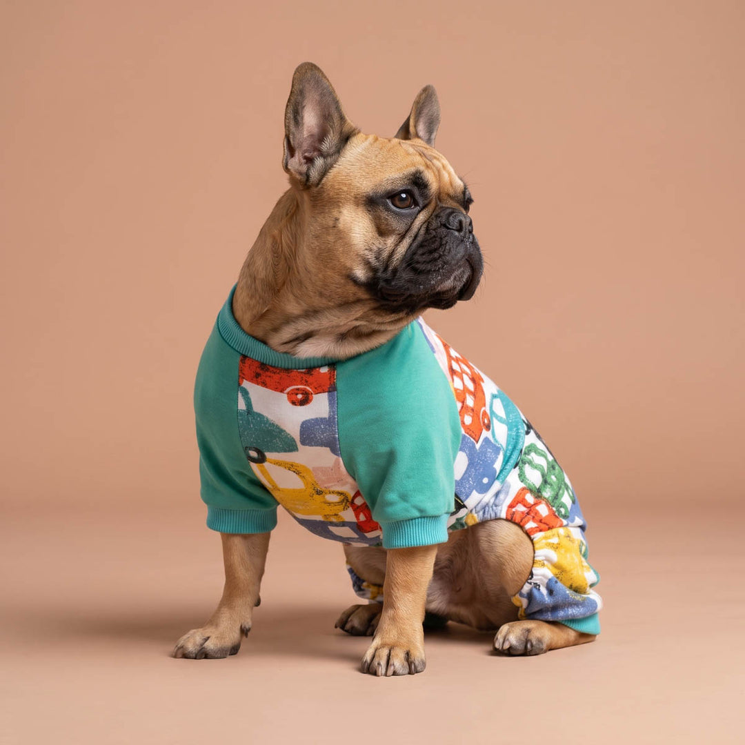 French Bulldog looks right side with a car pajamas for dogs on a beige background