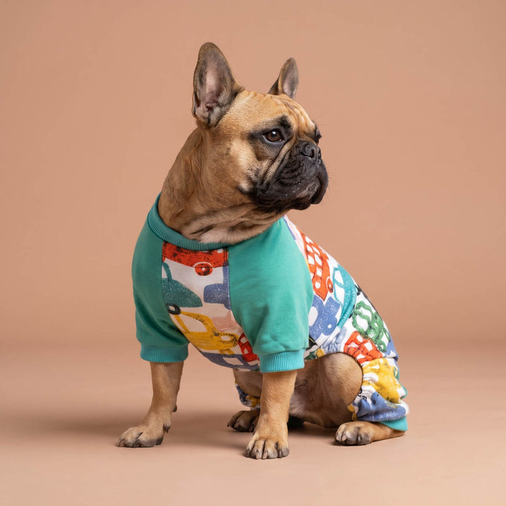 French Bulldog looks right side with a car pajamas for dogs on a beige background