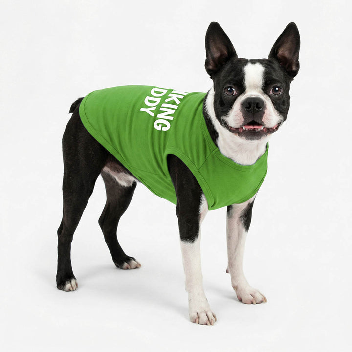 Boston Terrier wearing a green shirt for dogs with lettering on a white background