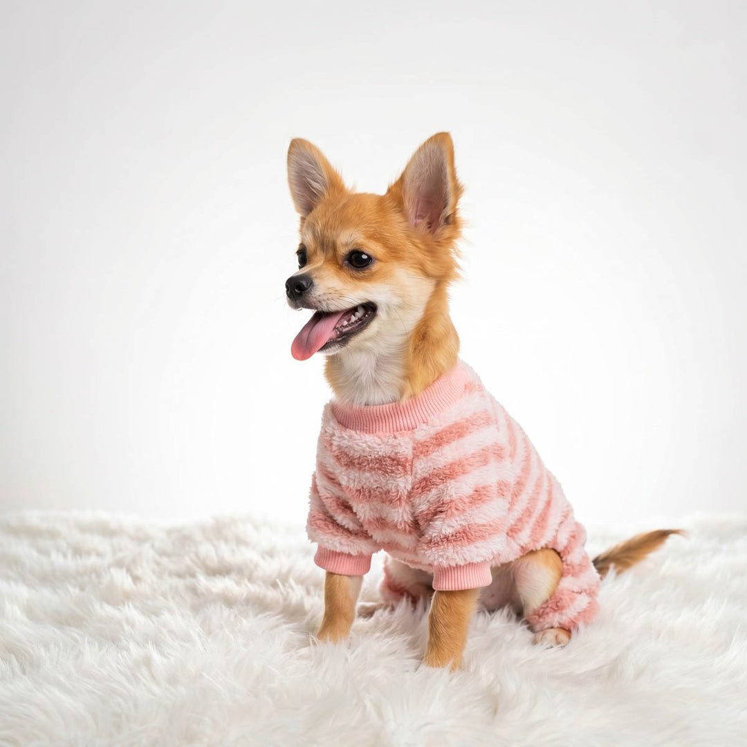 Small dog wearing a pink and white striped fuzzy pajamas for dogs, sitting on a white faux fur rug against a light gray studio background