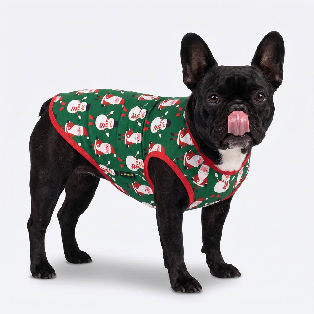 French Bulldog wearing a green Christmas-themed dog tank top with a Santa Claus pattern and red trim, standing against a light gray background