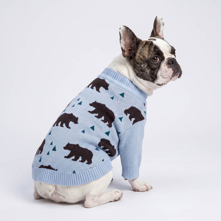 Boston Terrier dog wearing a light blue knit sweater for dogs with a dark brown bear and triangle tree pattern, photographed against a seamless white studio background
