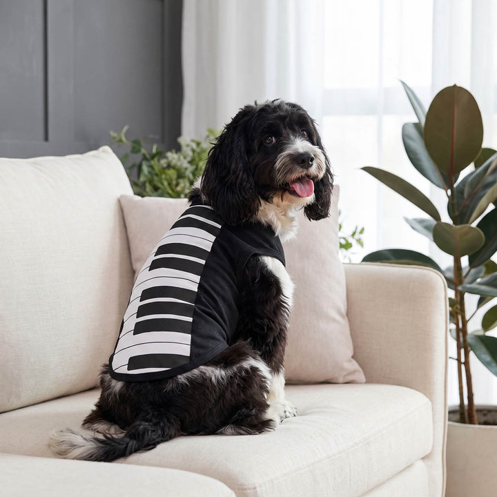 Black and white dog sits on a light beige sofa wearing a dog costume with a piano-key pattern