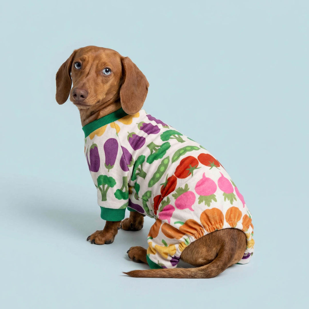 Dog wearing a colorful pajama for dogs with vegetable pattern on a light blue background