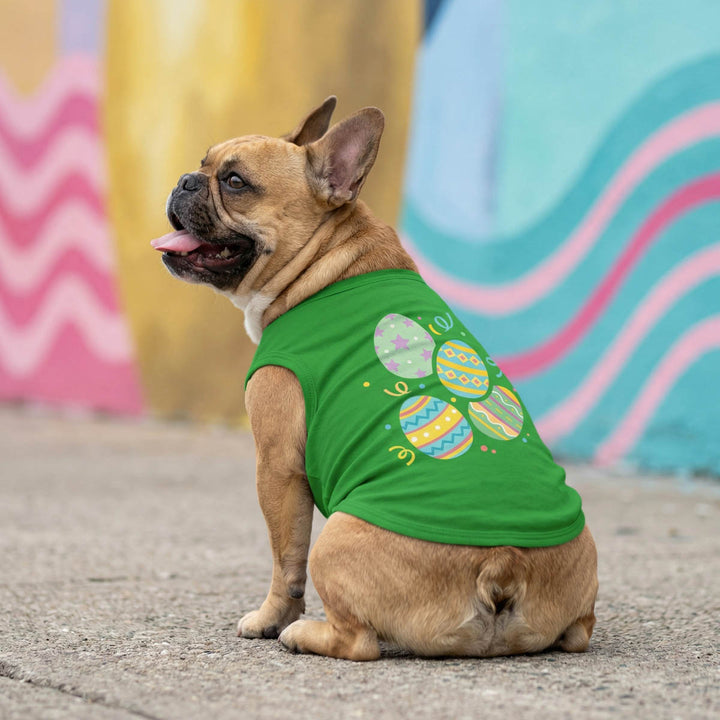 Dog wearing a green dog t-shirt with colorful patterns in front of a colorful wall