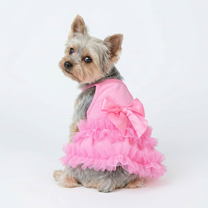 Back view of a small dog in a pink tiered dress for dogs