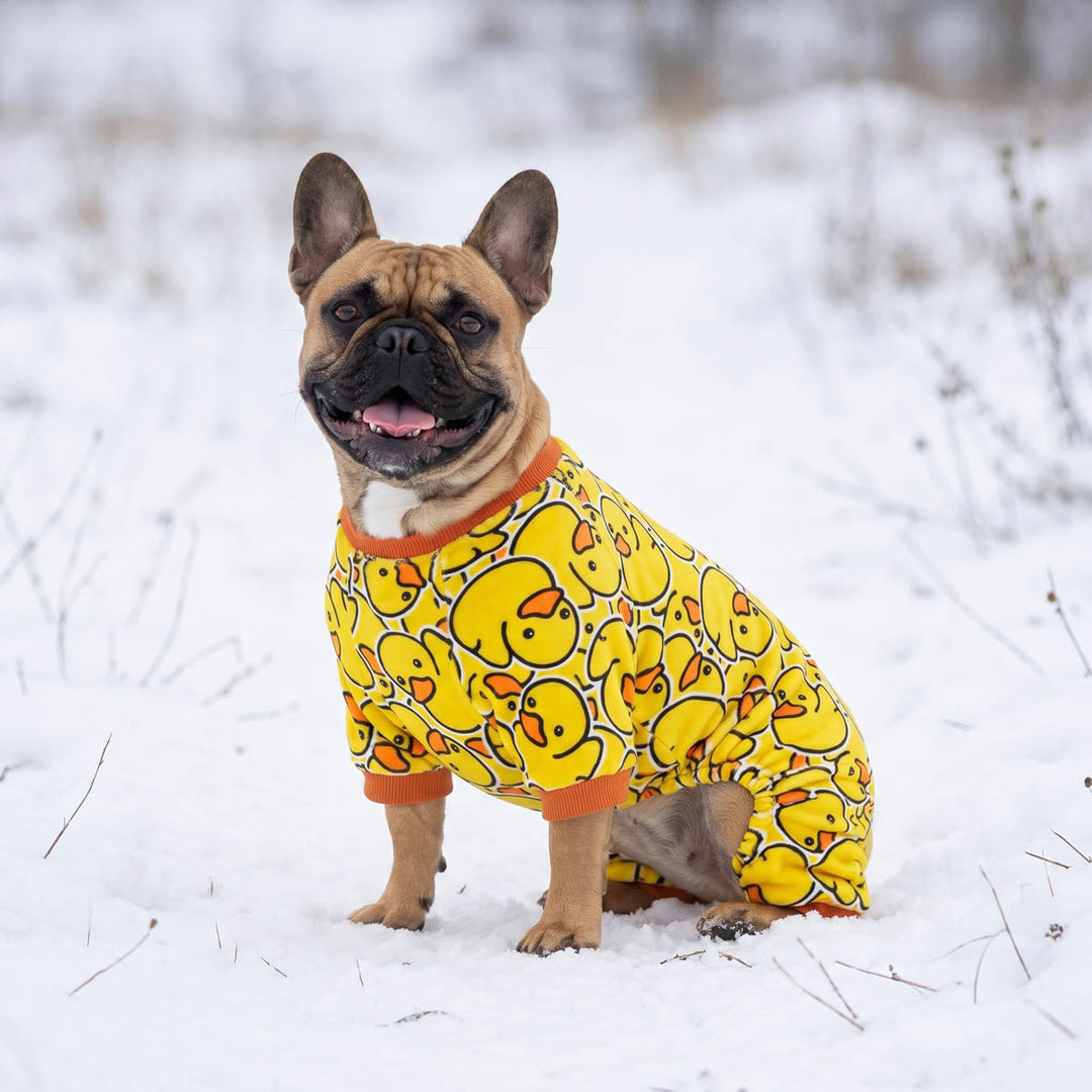 French Bulldog wearing rubber duck dog pajamas and sitting on the snow