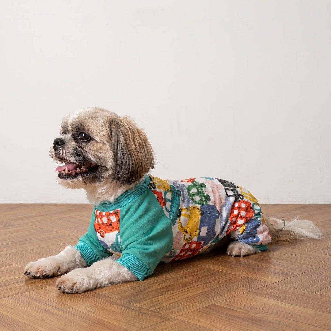 Small dog lying on the floor in cozy dog onesie with crayon car prints