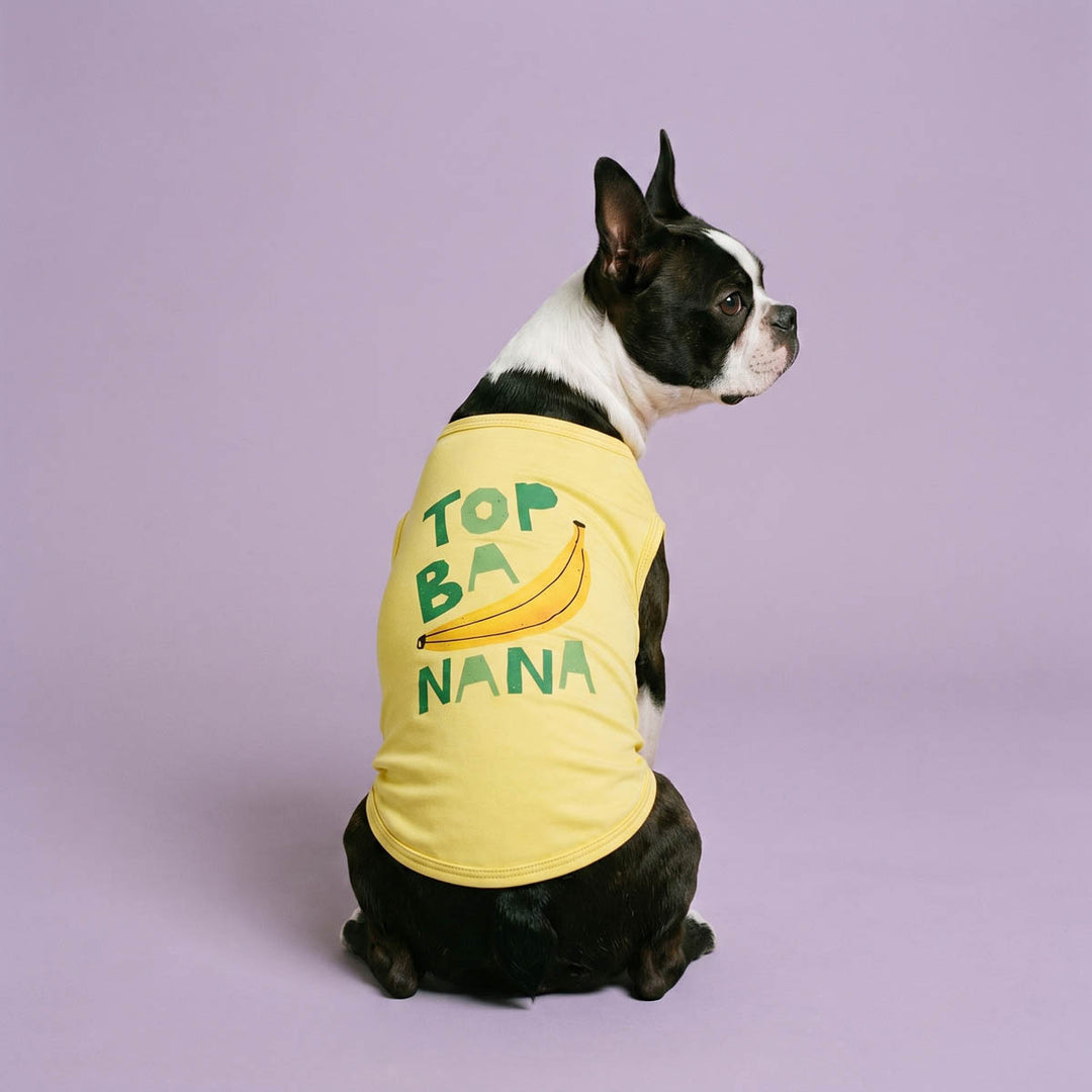 Back view of boston terrier in a funny dog tank top with banana and 'Top banana' lettering