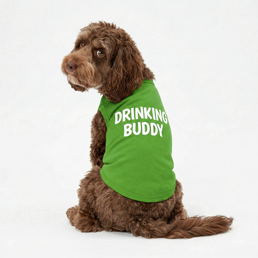 Dog wears a green 'DRINKING BUDDY' dog shirt and looks back on a white background