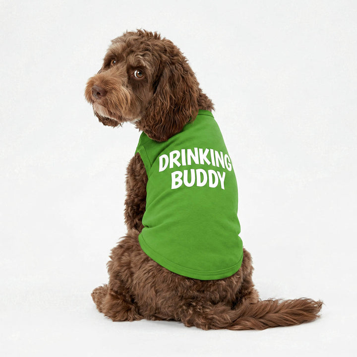 Dog wears a green 'DRINKING BUDDY' dog shirt and looks back on a white background
