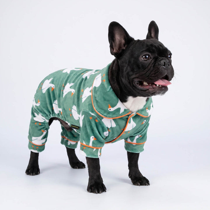 French Bulldog wearing a cozy pajamas for dog with button-up design and duck prints