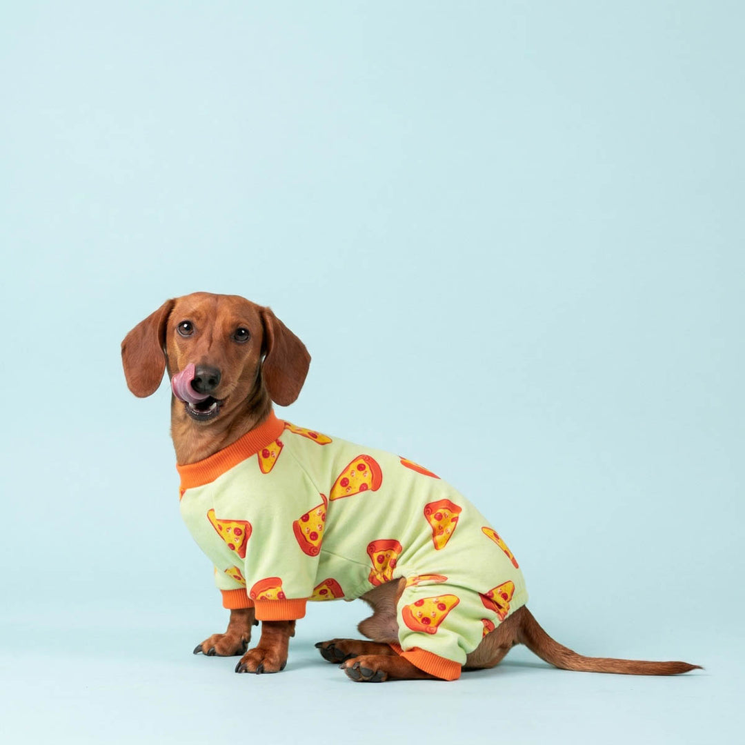 Dachshund wearing a light green full-body dog onesie with an orange collar and cuffs, printed with red and yellow pizza slices, posed against a solid light blue background