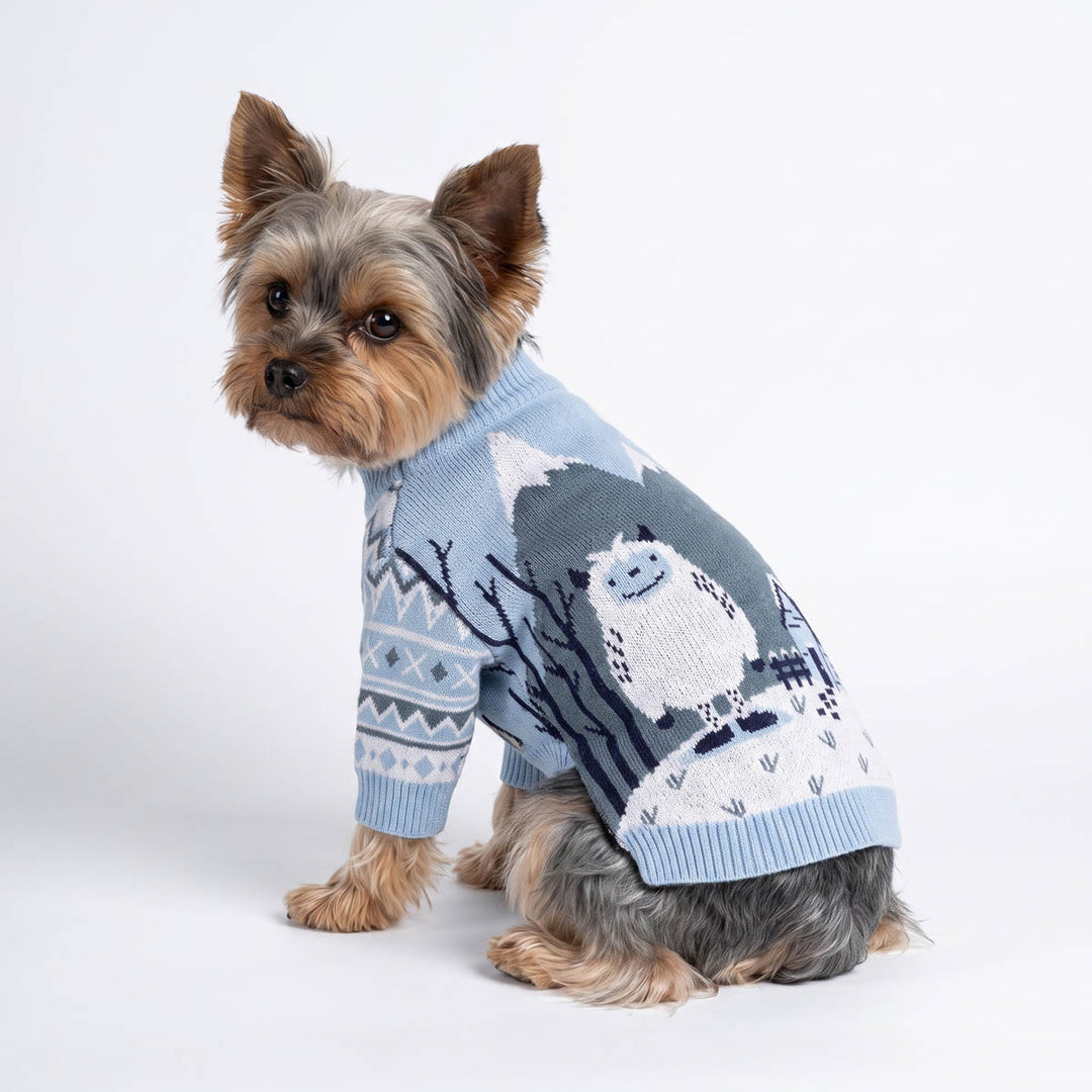 Small Yorkshire Terrier dog wearing a light blue dog knit sweater with a winter mountain and owl pattern, posed against a clean white studio background