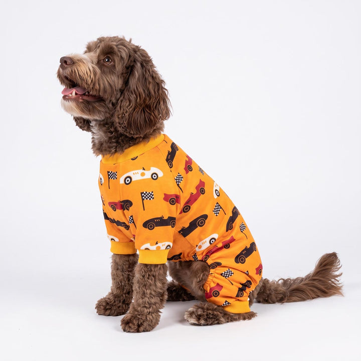Brown curly-haired dog wearing a bright yellow full-body pajama for dogs with a pattern of race cars and checkered flags, photographed against a seamless white studio background