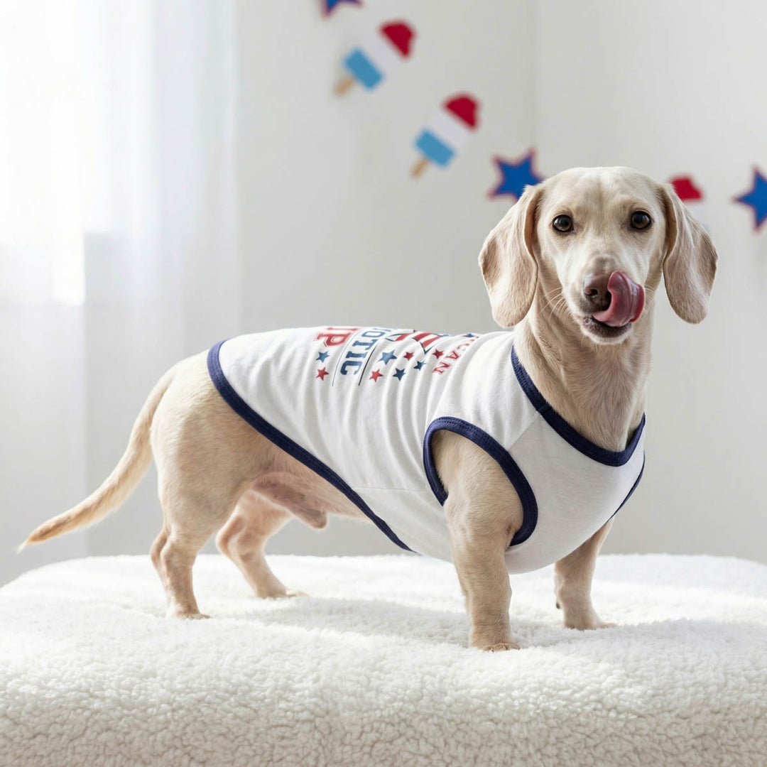 Dachshund standing on a soft blanket with a patriotic dog tank top
