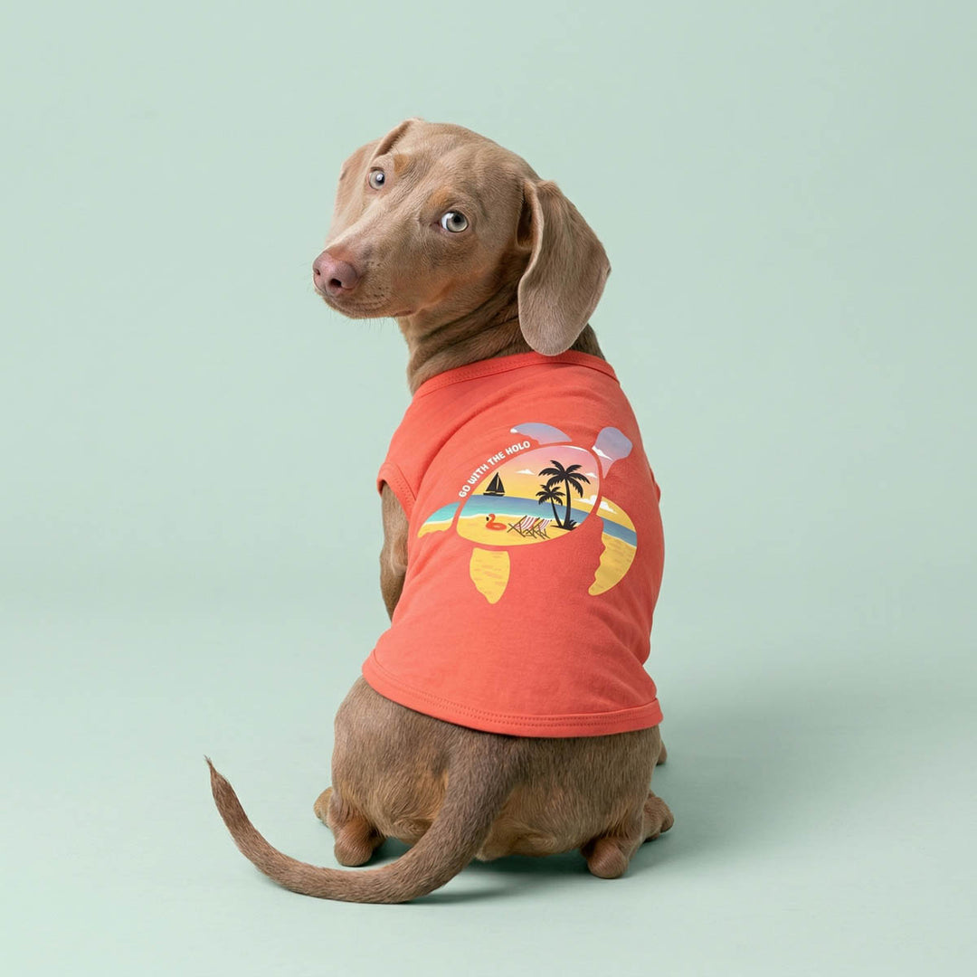 Sea Turtle Print Hawaiian Dog Shirt