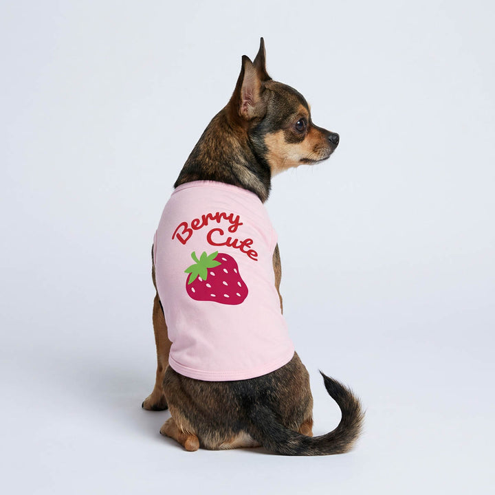 Back view of Chihuahua in a pink shirt for dogs with 'Berry cute' lettering and strawberry print