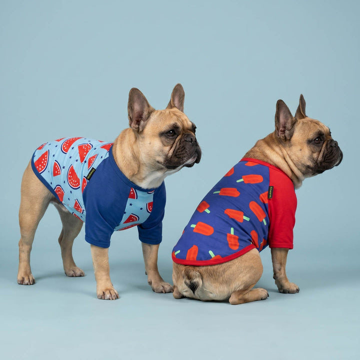Two dogs wearing patriotic shirt for dogs with watermelon and popsicle patterns on a blue background