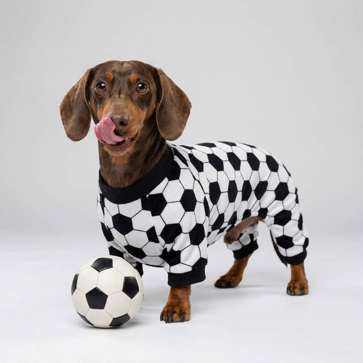 Dachshund stand by a soccer with a funny soccer dog pjs