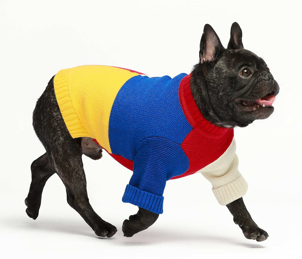 Color Block French Bulldog Sweater - Fitwarm