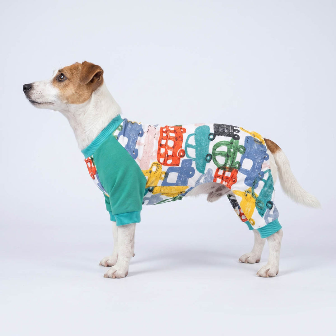 Small dog standing on the white background with funny car pajamas for dogs 