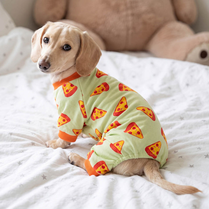 Dachshund wearing a light green dog pjs with a red and yellow pizza slice pattern, sitting on a white bed with a teddy bear in the background