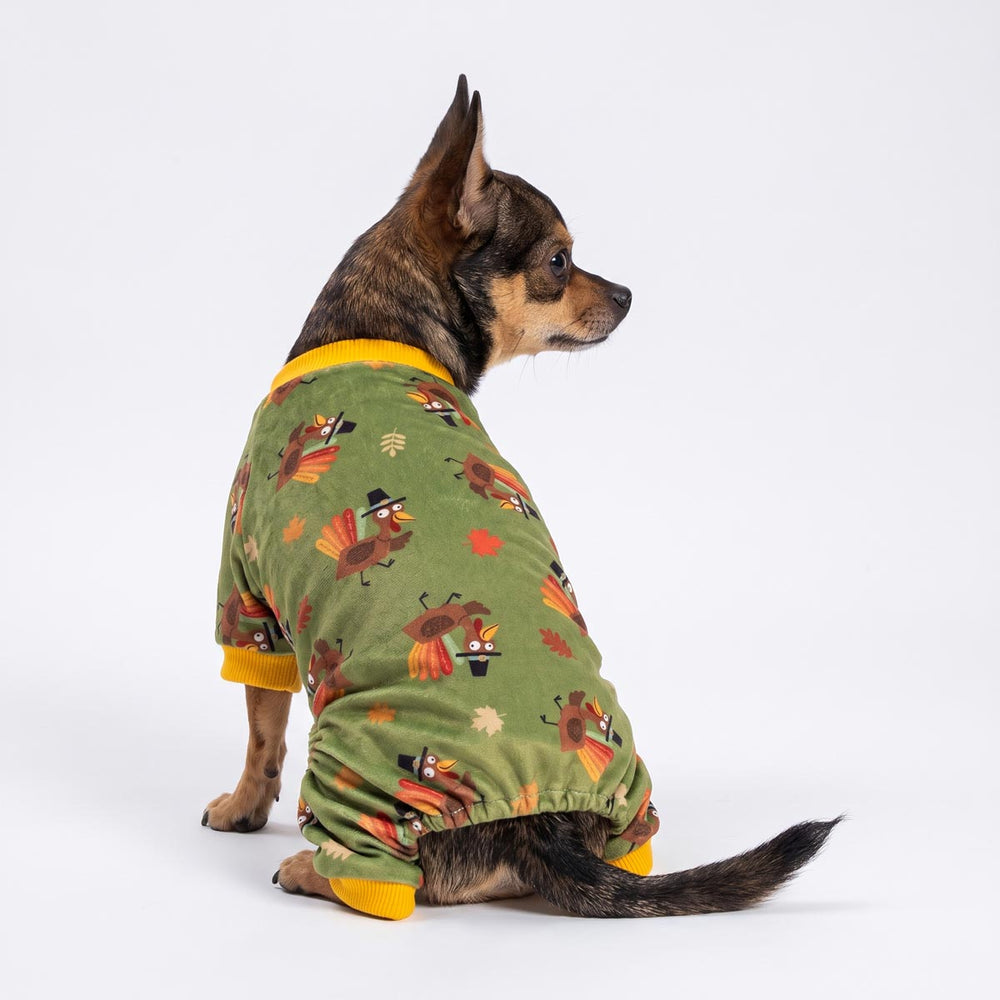 Back view of Chihuahua wearing a Thanksgiving dog pjs with funny turkey prints
