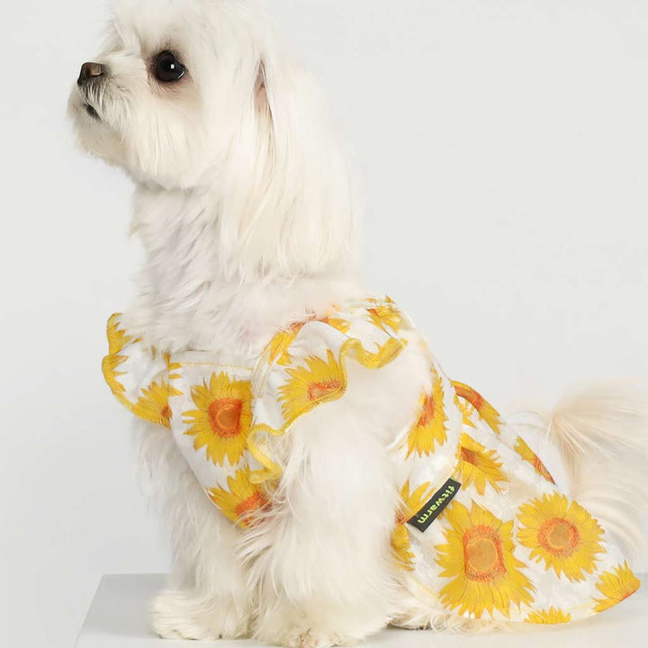Maltese in a Sunflower Dog Dress - Fitwarm Dog Clothes