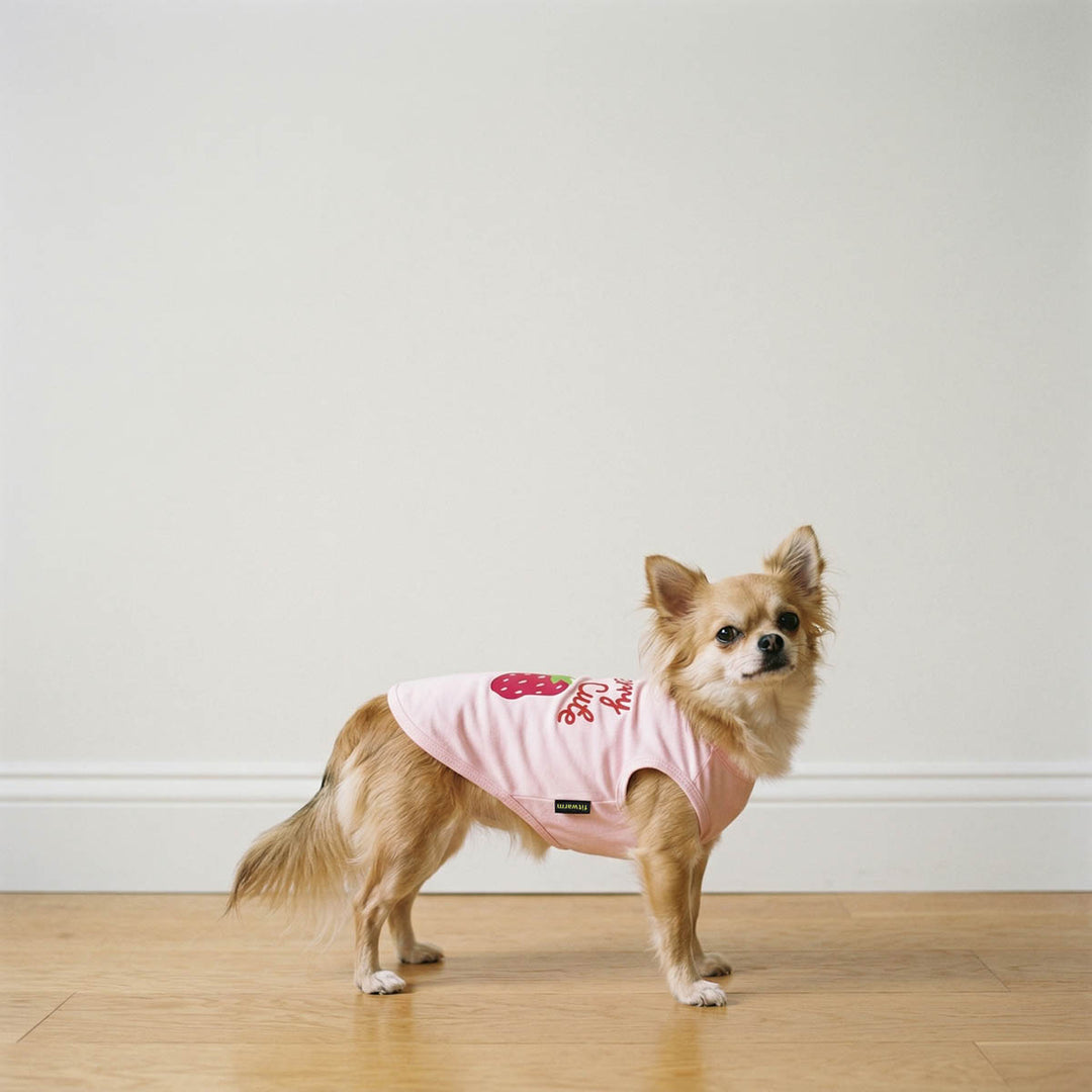 Chihuahua standing indoors with a pink dog t-shirt