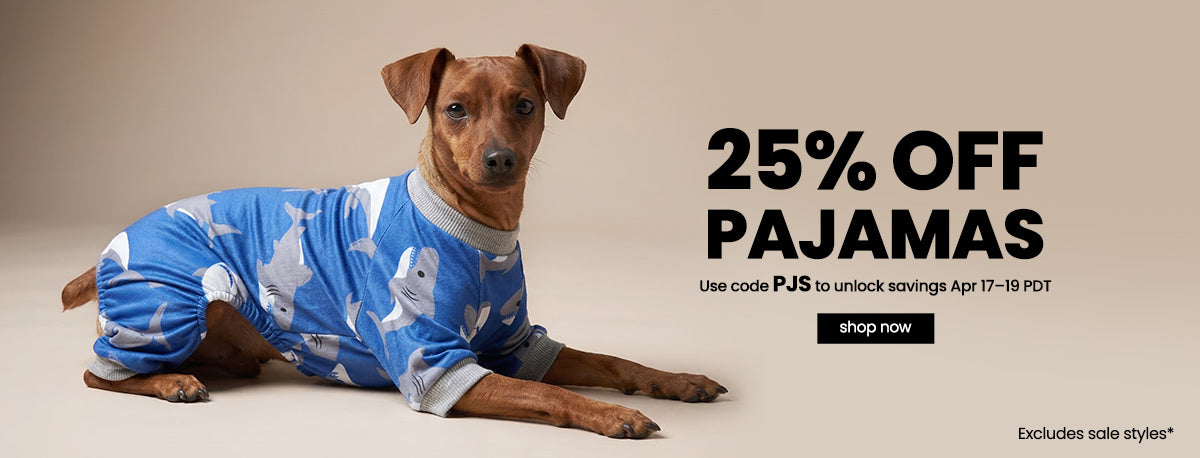 Dog wearing blue dog pajamas with a promotional message for 25% off pajamas.