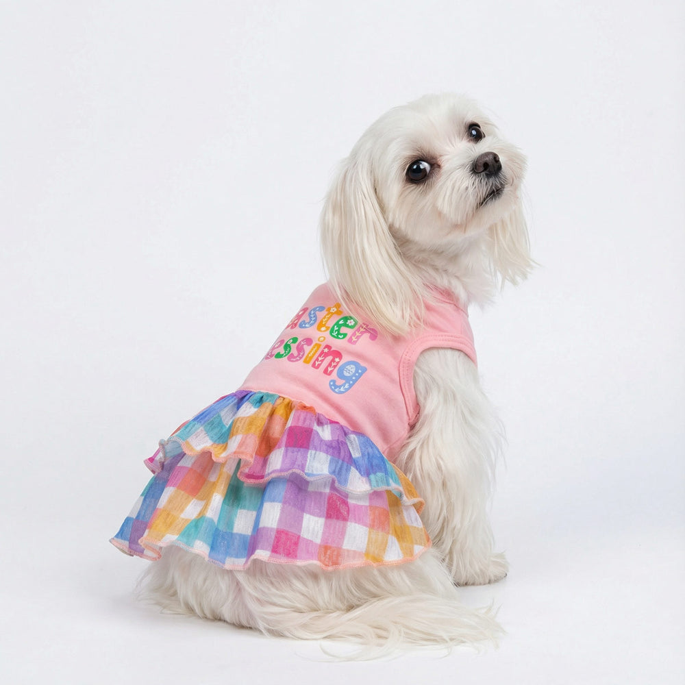 Dog wearing pastel plaid Easter dog dress, sitting on white background with colorful ruffle skirt